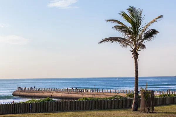 plaj Okyanusu balıkçılık iskele