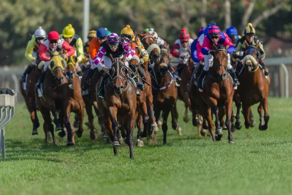 At yarışı jockeys renkleri odak — Stok fotoğraf