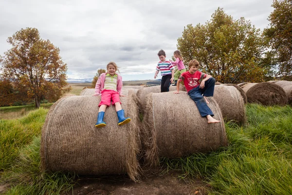 Ferme pour enfants Temps de jeu — Photo