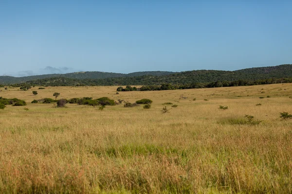 Paisagem rural — Fotografia de Stock