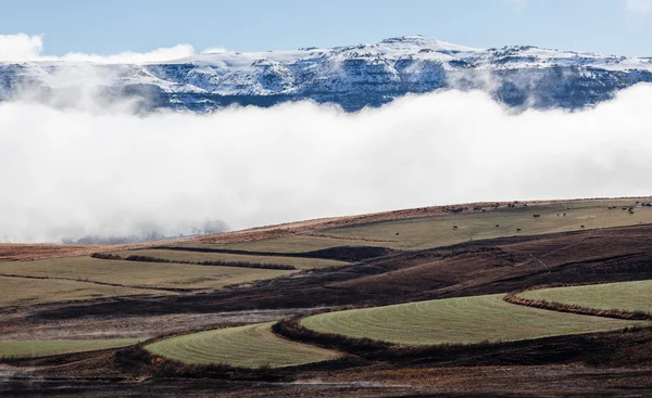 Berg gård snö svart grön kontraster — Stockfoto