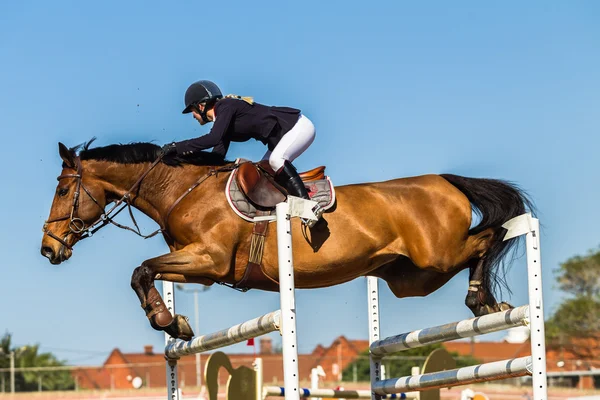 Cavaleiro Equestre Saltando Nacionais — Fotografia de Stock