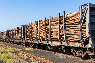ahşap direkleri tren günlüğü