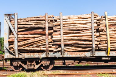 ahşap direkleri tren günlüğü
