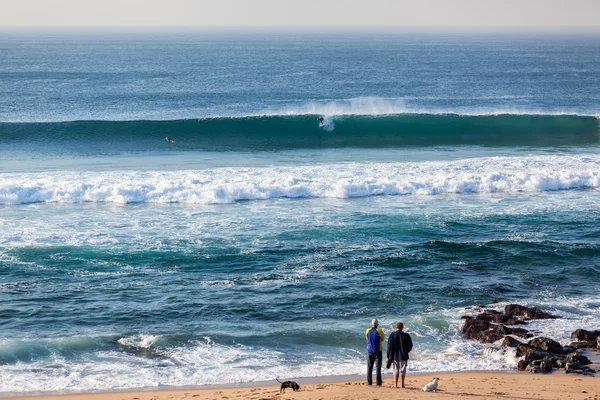 Okyanus dalgası beach insanlar Köpeklerin sörf — Stok fotoğraf