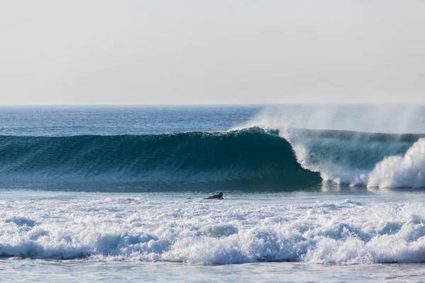 Surf Wave Crashing Surfer Paddling —  Fotos de Stock