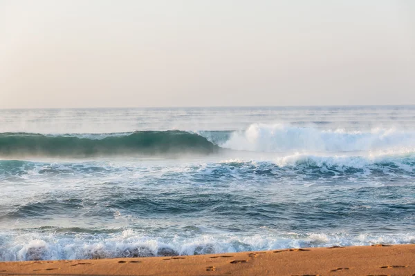 Playa Océano Invierno Niebla Olas Agua —  Fotos de Stock