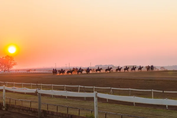 Course Chevaux Entraînement Aube Lever du Soleil — Photo