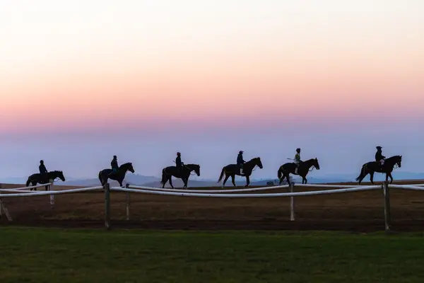 Carrera caballos entrenamiento amanecer —  Fotos de Stock