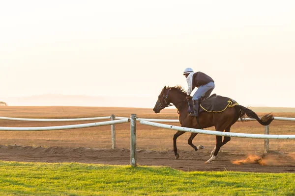夜明けの日の出を訓練の競走馬 — ストック写真