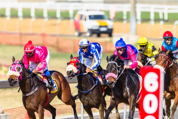 Horse Racing Action — Stock Photo, Image