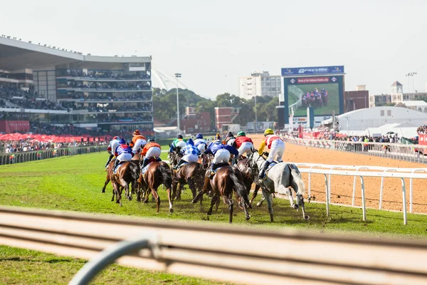 Ação de corrida de cavalos — Fotografia de Stock