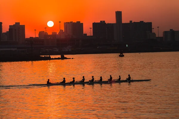 Regatta rodd åttor team sunrise färg — Stockfoto