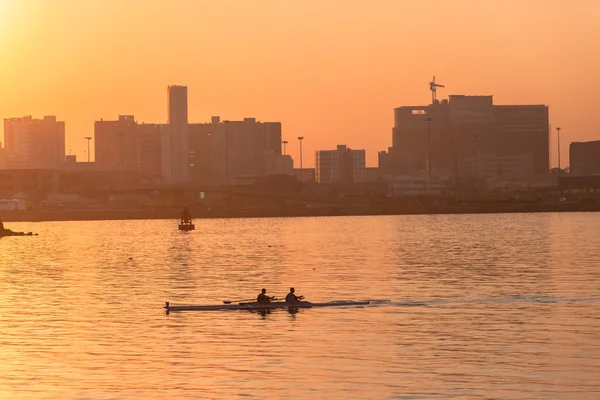Regatta Rowing Doubles  Sunrise Color — Stock Photo, Image