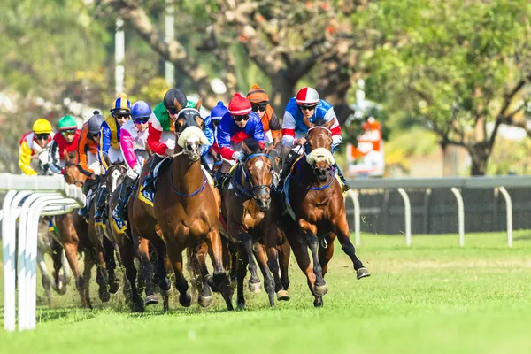 競馬のジョッキー アクション — ストック写真