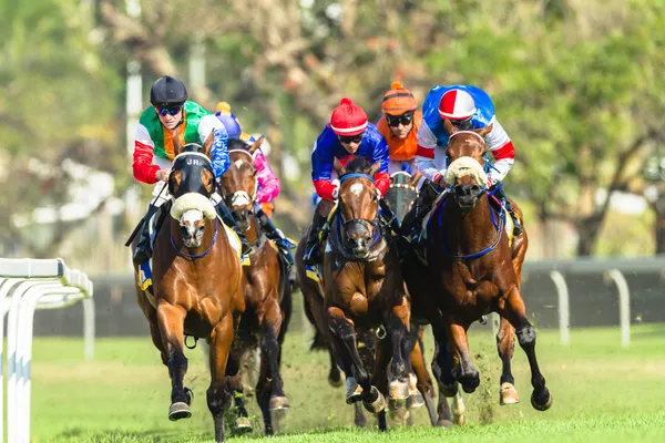 Carreras de caballos Jockeys Acción — Foto de Stock