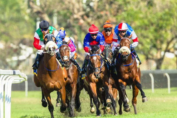 Carreras de caballos Jockeys Acción — Foto de Stock