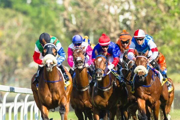 Corrida de cavalos Jockeys Ação — Fotografia de Stock