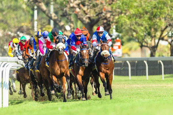 Horse Racing Jockeys Azione — Foto Stock