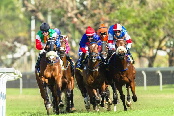 Course de chevaux Jockeys Action — Photo