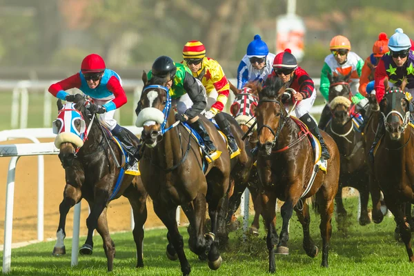 Corrida de cavalos Jockeys Ação — Fotografia de Stock