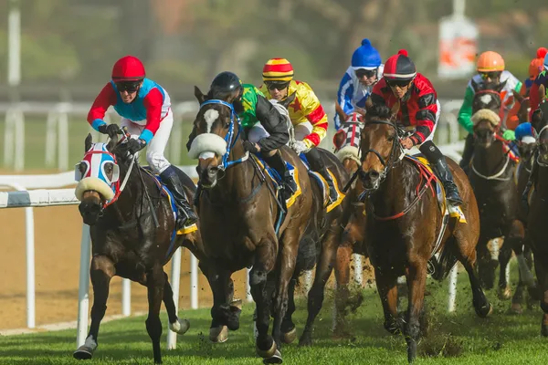 Carreras de caballos Jockeys Acción — Foto de Stock