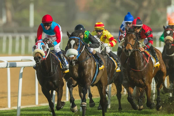 Corrida de cavalos Jockeys Ação — Fotografia de Stock