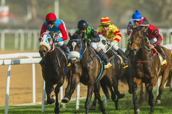 Corrida de cavalos Jockeys Ação — Fotografia de Stock