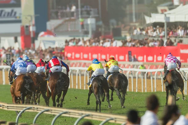 Corrida de cavalos Jockeys Ação — Fotografia de Stock