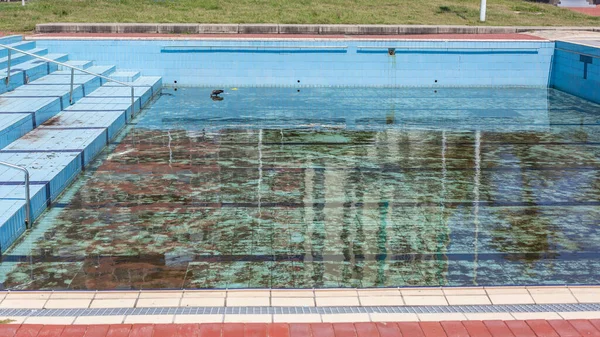 Offentlig Swimmingpool Tom Intet Vand Beskidt Ingen Vedligeholdelse Udendørs Offentlige - Stock-foto