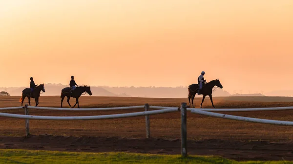 Rennpferde Training Mit Reitern Silhouette Bis Zur Unkenntlichkeit Der Morgendämmerung — Stockfoto