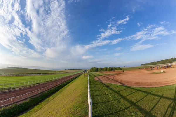 Race Horses Training Riders Dawn Morning Blue Sky Panoramic Lifestyle — Stock Photo, Image