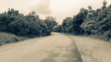Road single lanes destination route bends through lush trees grass tropical sepia tone photo of coastal landscape.