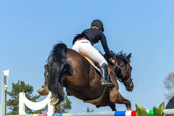 Horse Dívka Jezdec Jumping Arena Tyče Nebe Zadní Akcí Černá — Stock fotografie