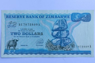 Money Zimbabwe. Kağıt bankacılık enflasyonunun iki dolarlık para birimi geçmişi. Eski model..