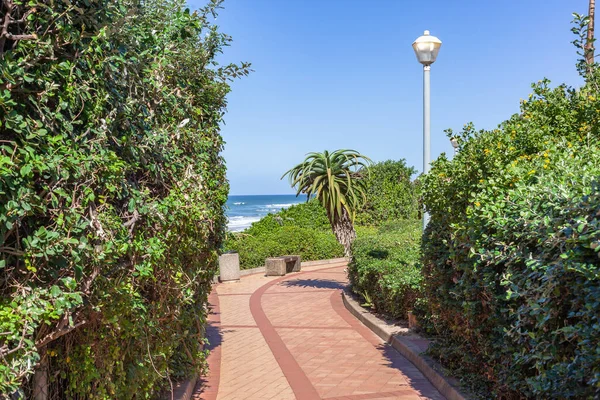 Public Pedestrian Walking Pathway Beach Ocean Sea Landscape Green Vegetation — ストック写真