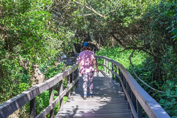 Public Pedestrian Walking Pathway Platform Raised Mangrove Swamp Bush Green — Stockfoto