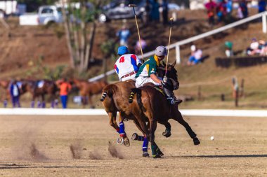 Polo players challenging riding pony animal rear action  mallet ball close-up  grass field goals equestrian sport.