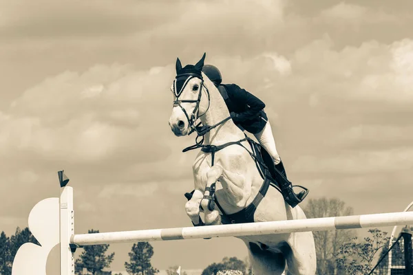 Equestre Branco Cinza Cavalo Cavaleiro Irreconhecível Pessoa Meio Voo Saltar — Fotografia de Stock