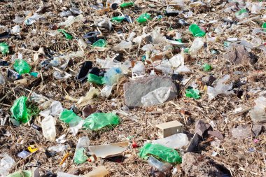 Kirlilik artıkları nehir ağızlarına saçılmış plastik şişeler.