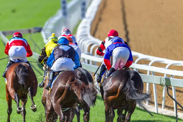 Horse Racing Jockeys Horses Closeup Speed Action Photo —  Fotos de Stock