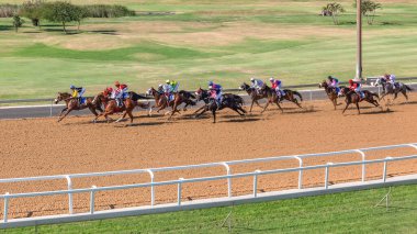 At yarışı, jokeylerin yarış kumları üzerinde yaptıkları yarış.
