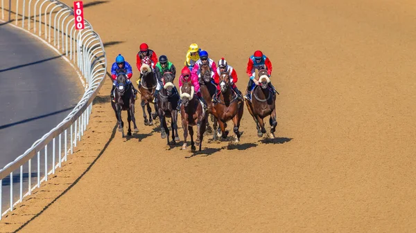 Horse Racing Overhead Action Jockeys Horses Race Sand Poly Track — Fotografia de Stock