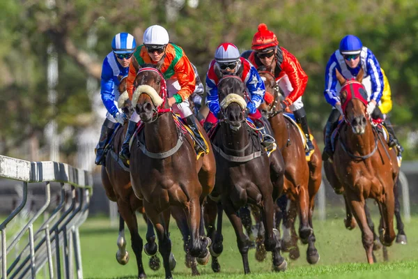 Horse racing closeup action of jockeys horses on race track