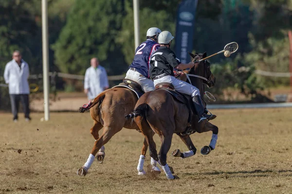 Polo Cross Jogadores Cavalo Pônei Cavaleiro Bola Scoops Irreconhecível Com — Fotografia de Stock