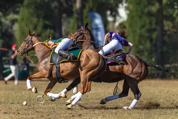 Polo Cross Players Horse Pony Women Riders Unrecognizable Scoops Ball — Stock Photo, Image