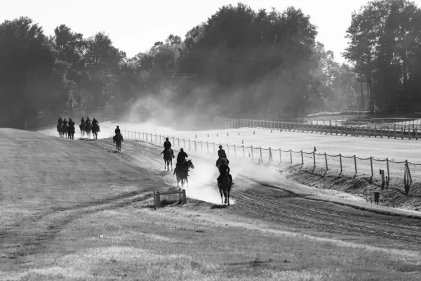 stock image Race Horses riders grooms  morning training track silhouette black and white landscape.