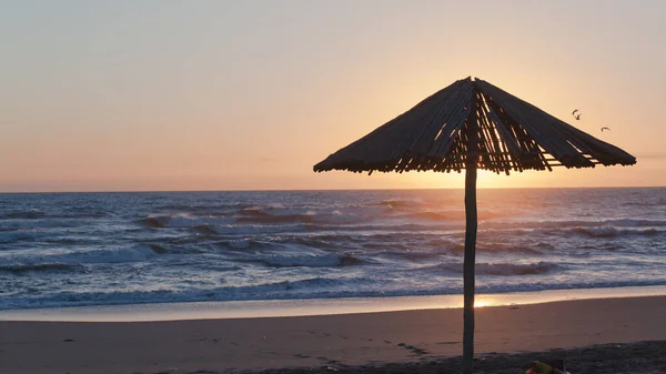 Beach Ocean Shoreline Wood Umbrella Silhouetted Sunrise Sea Horizon — стоковое фото