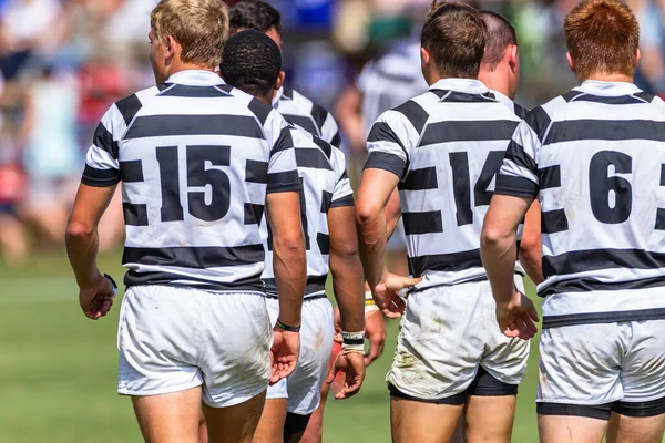 Rugby players walking on game field close-up rear behind unrecognizable athletes in the black white team jerseys.