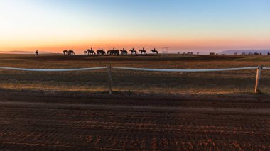 Race horses dawn silhoutted animals riders warm up training track with blue sky horizon colors a scenic  panoramic landscape.